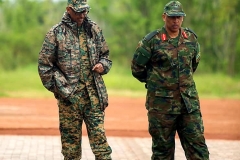 RDF