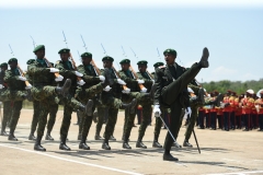 Parade