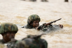 RDF-Soldier