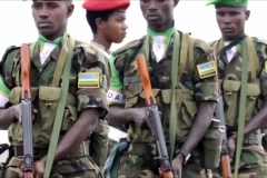 rdf1