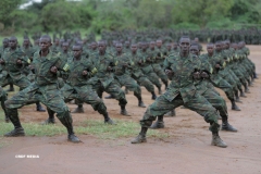 soldiers3