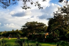 IMG-20190428-WA0028
