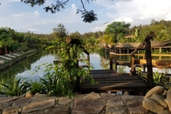 IMG-20190428-WA0029