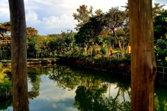 IMG-20190428-WA0033