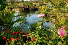 IMG-20190428-WA0038