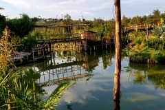 IMG-20190428-WA0039
